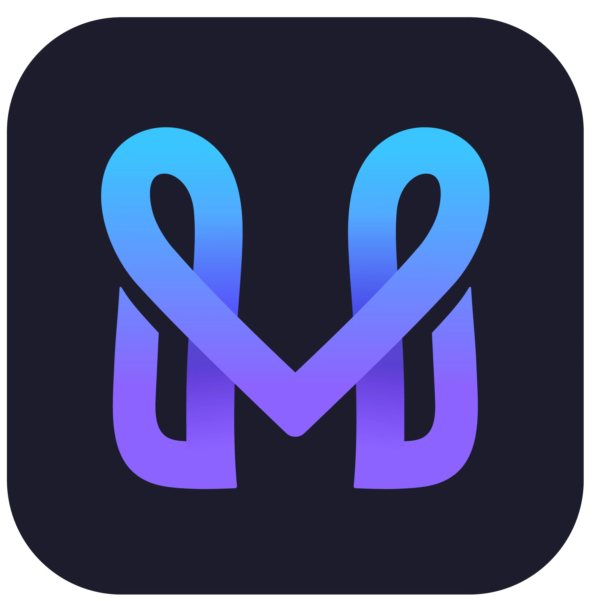 metaports